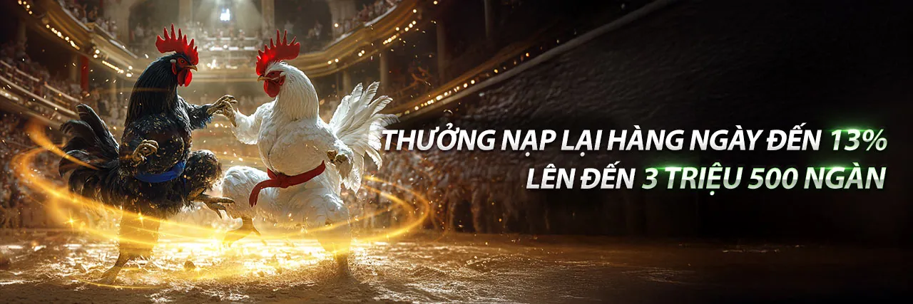 Đá Gà Trực Tiếp C3 tại F1686S